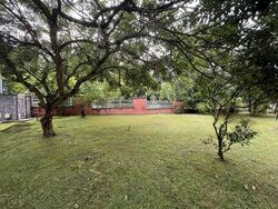 Lornie Road (D11), Semi-Detached #458170331